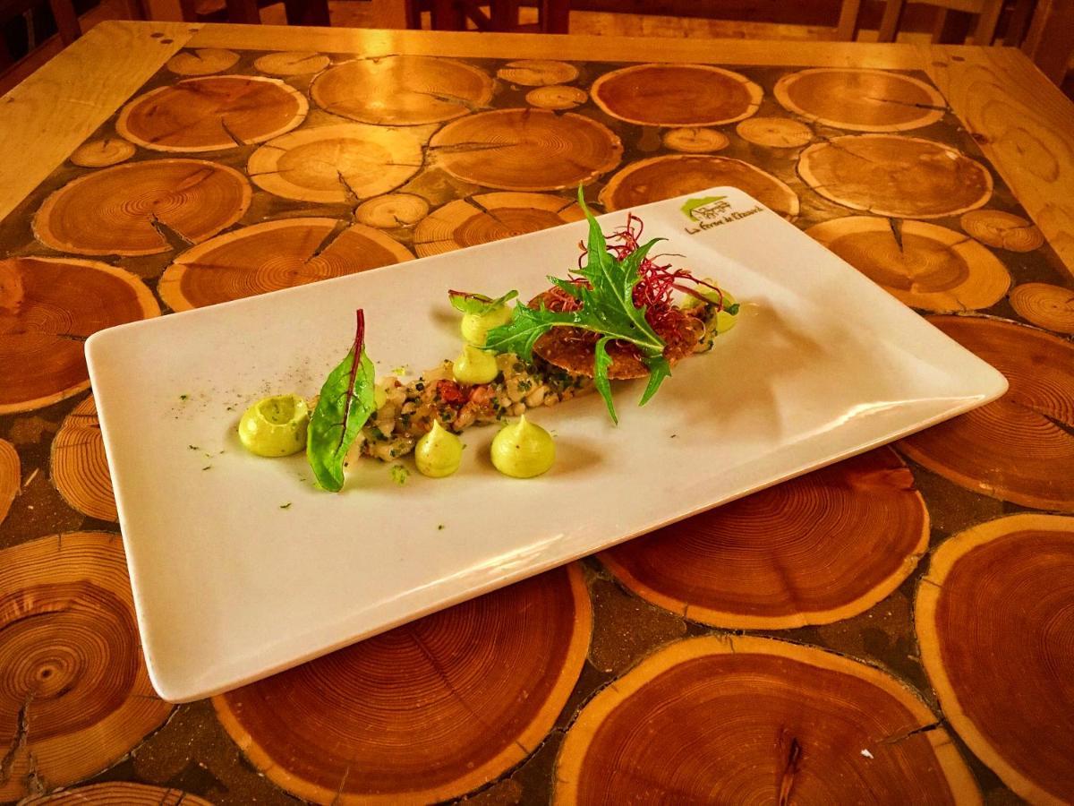 Hotel & Spa La Ferme De L'Izoard 阿维厄 外观 照片